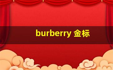 burberry 金标